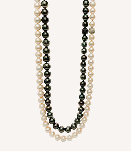 Venice Collection