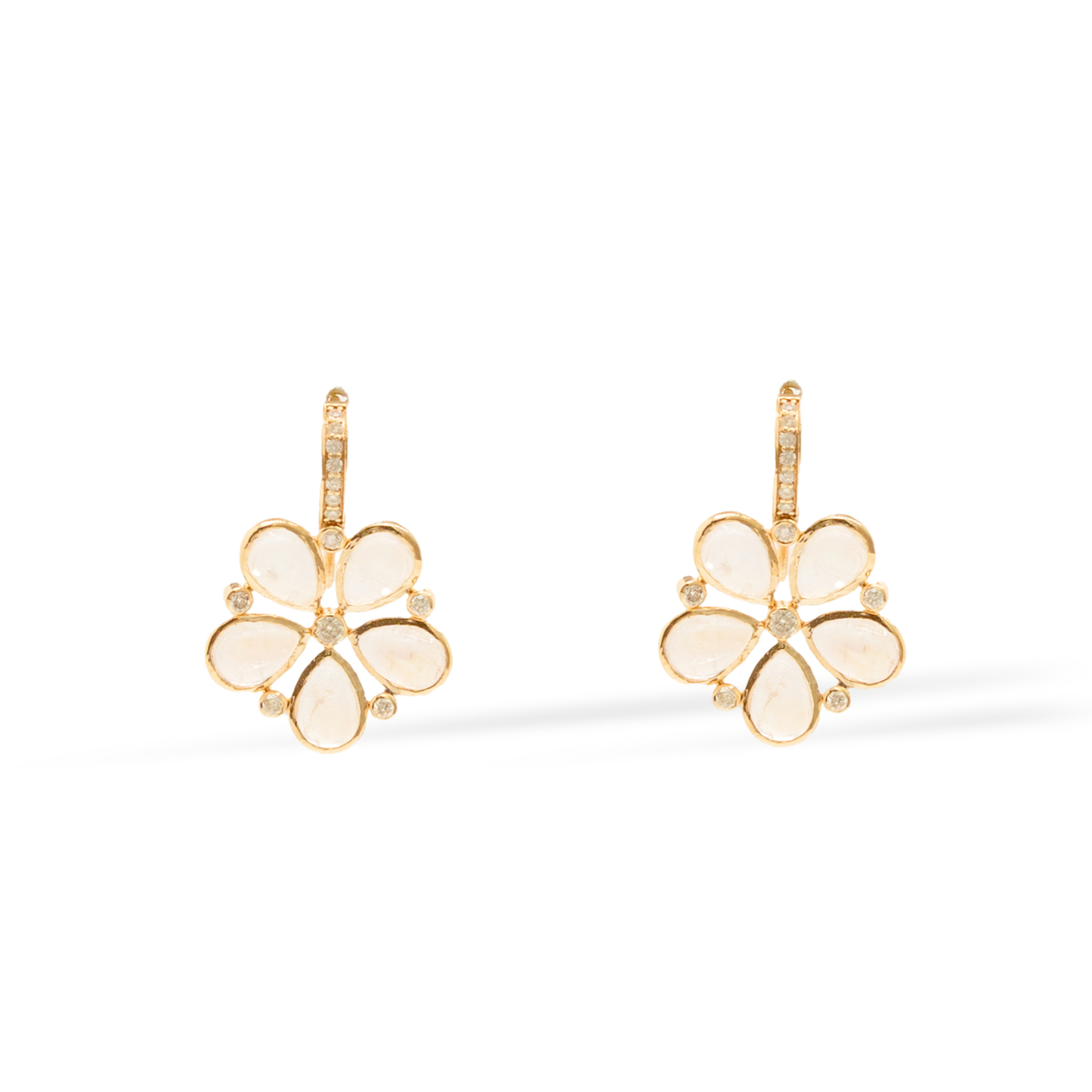 14K Yellow Gold Golden Anemone Moonstone Earrings